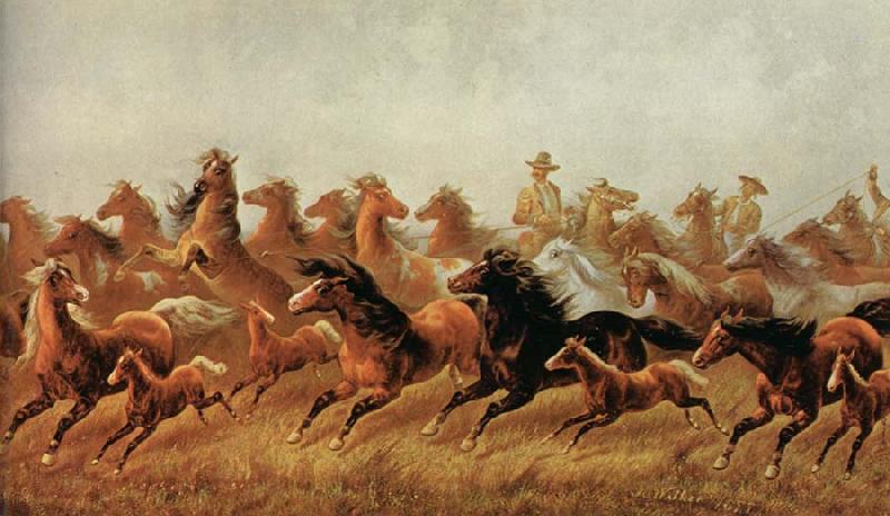 James Walker Roping wild horses Spain oil painting art